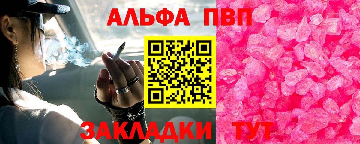 Alfa_PVP СК Горно-Алтайск