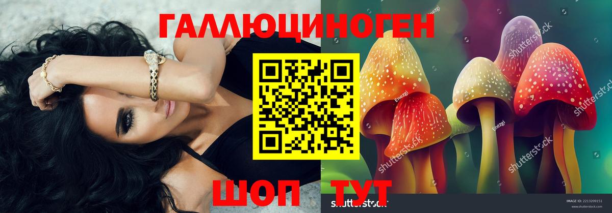Псилоцибиновые грибы Magic Shrooms  Вход с VPN  наркота  Горно-Алтайск 