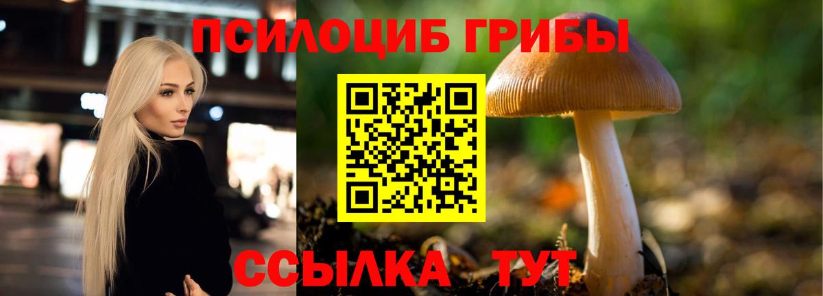 Псилоцибиновые грибы прущие грибы Горно-Алтайск